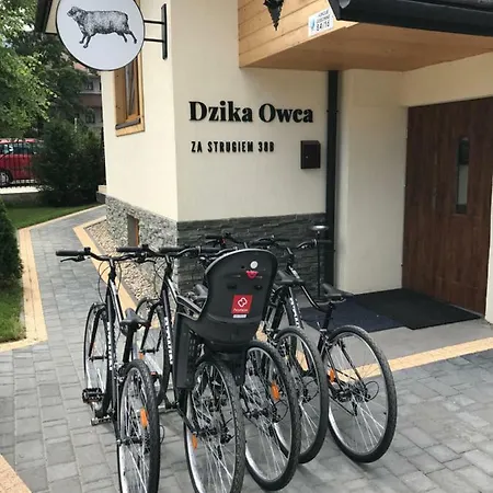 Dzika Owca Apartman