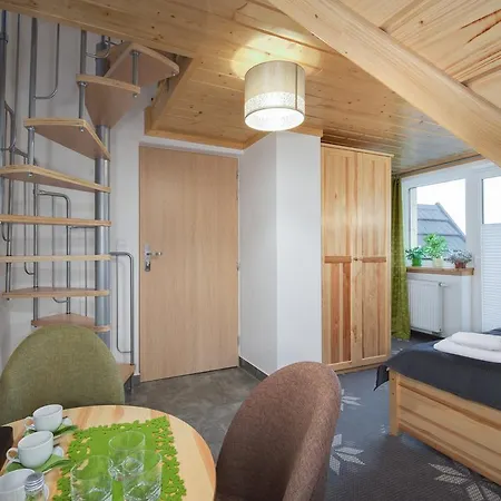 Dzika Owca Zakopane