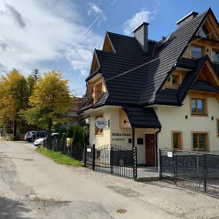Dzika Owca Apartament